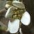 fearlyflotscurvygrass1a