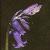 hyacinthoidesflotnonscripta1a