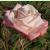 rosalittleflo2muffgarnonwilliams