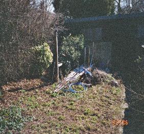 home veg 1 looking down garden before maintenance work starts picture