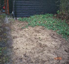 home veg 4 used the rotary spreader to spread the grass seed picture