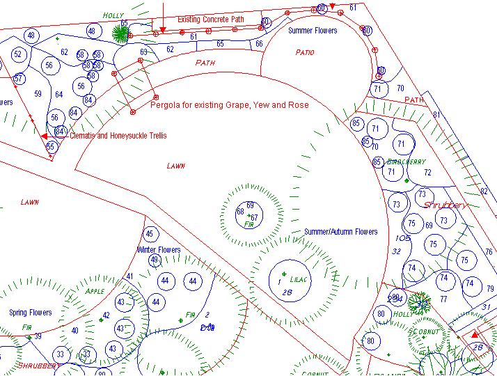 Proposed Planting Plan for top half of Garden for Case 4