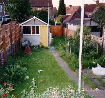 case5wildlifephoto1