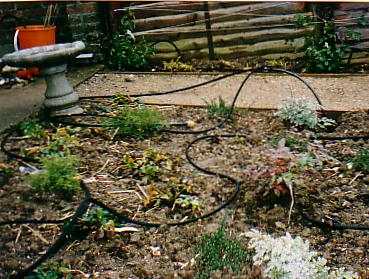 case5wildlifephoto11