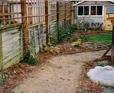 case5wildlifephoto13