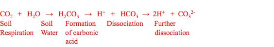 carbonation_equation