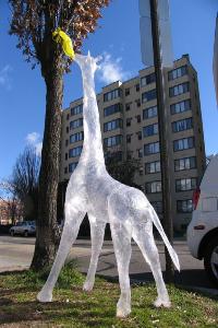 clematissellotapegiraffe