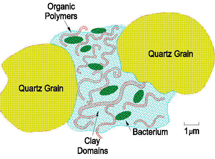 soil15