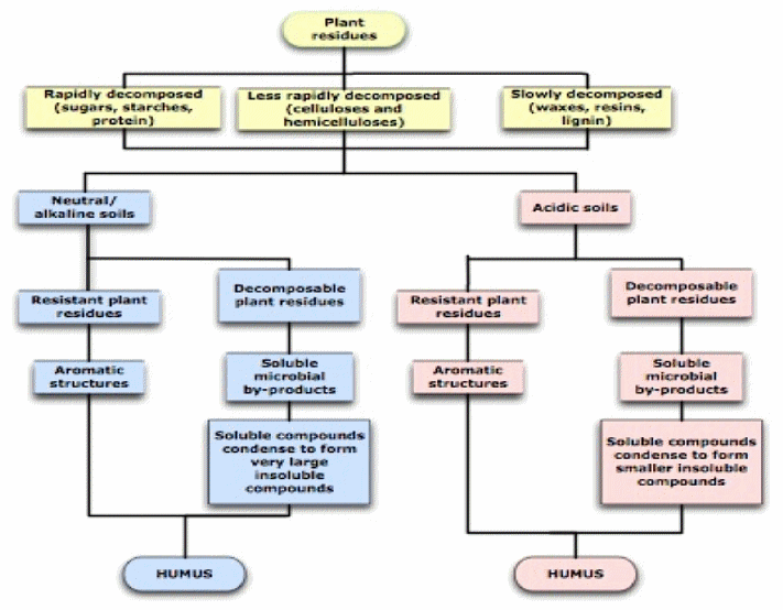 how-is-humus-made_diagram