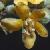 commoncflomullein1