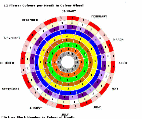 bloomsmonth2a1a