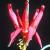 aquilegiaflo1formosafoord1a