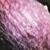 arisarumcfloproboscideum1a