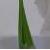 gladioluscfolwhistlestopncoe1a1