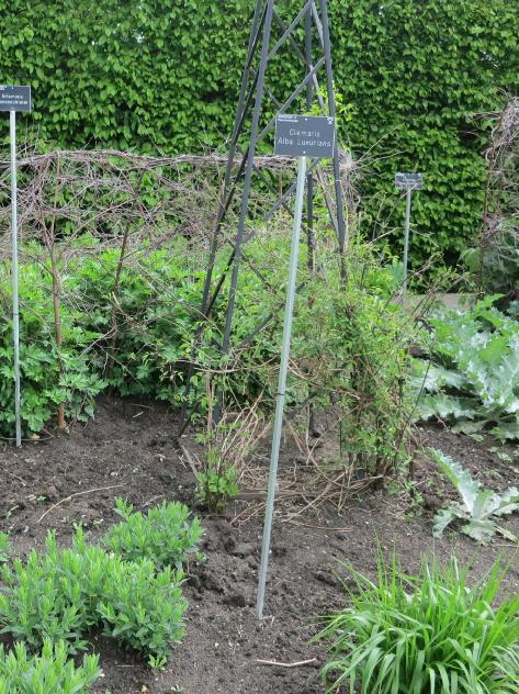 plantlabel3