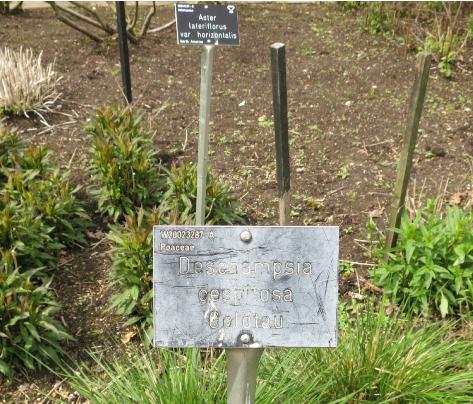 plantlabel4