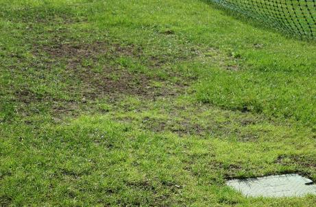 turfprotection6
