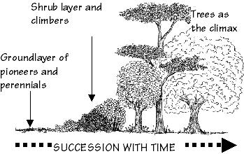 successionwithtime