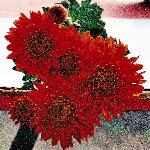 chrysanjaguarredflo1