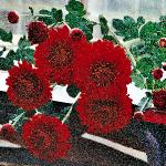 chrysanpaytonblazeflo1