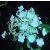 hydrangeacflosppetiolarisininvereweon2761963foord