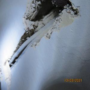 IMG0047web