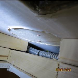 IMG0050web