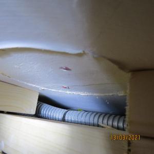 IMG0053web