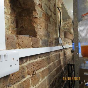IMG0124web