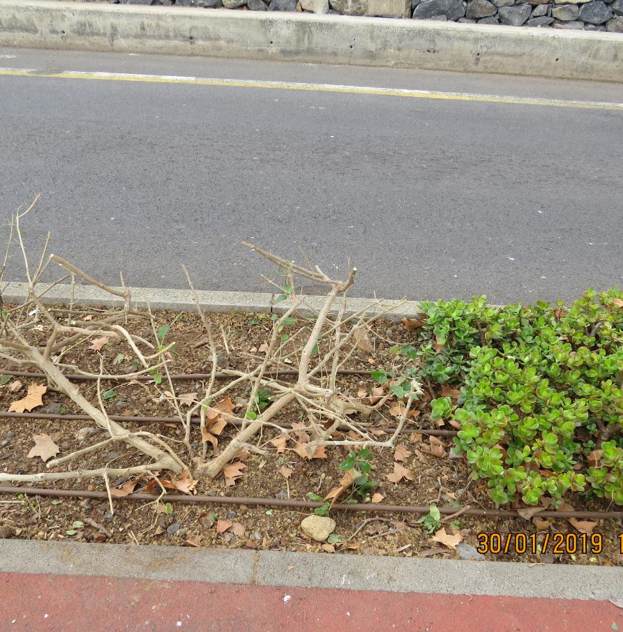 bicyclelane5garnonswilliams