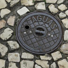 fertilisingtrees3garnonswilliams