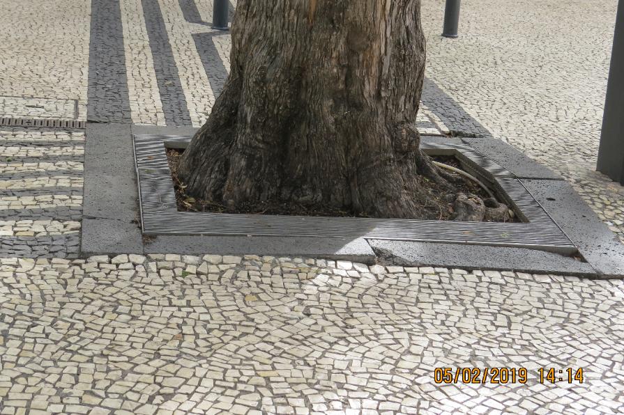 fertilisingtrees6garnonswilliams