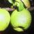 chaenomelesfruit1a1a