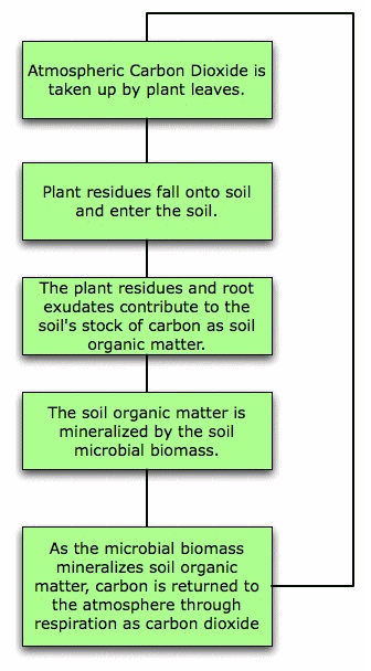 soil18