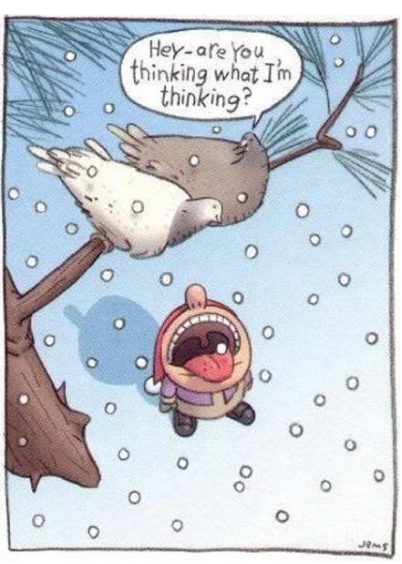pigeonsaboveman