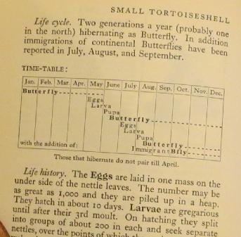 smalltortoiseshelltimetablesandars
