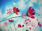 chasingthewind1bymadeleinepires1a