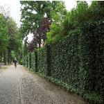 BIKEANDGARDEN
